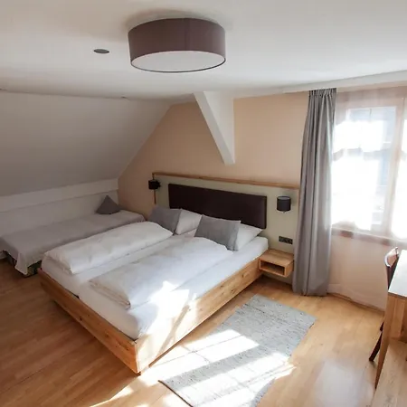 מלון Wellenhof Bodensee 3*