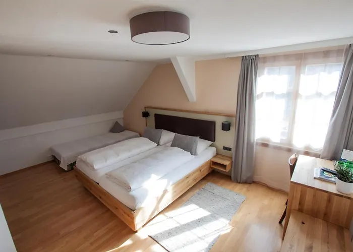 Hotel Wellenhof Bodensee 3*